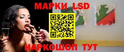 стаф Кинель