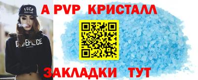стаф Кинель
