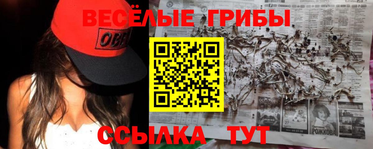 Крымск  Галлюциногенные грибы мицелий  Вход с VPN 
